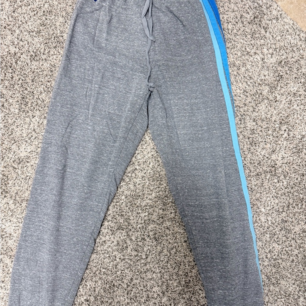 Aviator Nation Gray Joggers with Blue Stripe